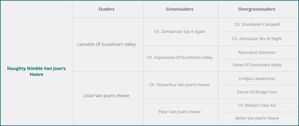 Naughty Nimble Van Joan’s Hoeve Ouders Grootouders Overgrootouders Lancelot Of Sunshine’s Valley Lislot Van Joan’s Hoeve Ch. Zampanzar Say It Again Ch. Impressive Of Sunshine’s Valley Ch. Felisarthur Van Joan’s Hoeve Fleur Van Joan’s Hoeve Ch. Shardanell Castapell Ch. Zampazar Sky At Night Moondust Solomon Fame Of Sunshine’s Valley Lindjan Leaderman Zanne Of Bridge Four Ch. Ritzilyn Class Act Beltie Van Joan’s Hoeve