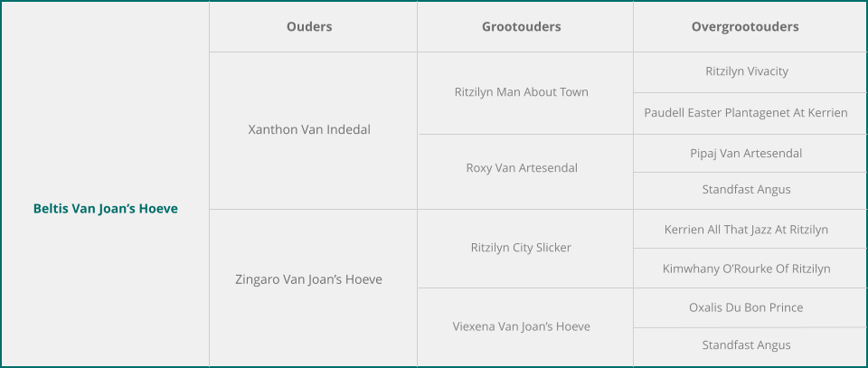 Beltis Van Joan’s Hoeve Ouders Grootouders Overgrootouders Xanthon Van Indedal Zingaro Van Joan’s Hoeve Ritzilyn Man About Town Roxy Van Artesendal Ritzilyn City Slicker Viexena Van Joan’s Hoeve Ritzilyn Vivacity Paudell Easter Plantagenet At Kerrien Pipaj Van Artesendal Standfast Angus Kerrien All That Jazz At Ritzilyn Kimwhany O’Rourke Of Ritzilyn Oxalis Du Bon Prince Standfast Angus