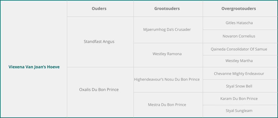 Viexena Van Joan’s Hoeve Ouders Grootouders Overgrootouders Standfast Angus Oxalis Du Bon Prince Mjaerumhog Da’s Crusader Westley Ramona Highendeavour’s Nosu Du Bon Prince Mestra Du Bon Prince Gitles Hatascha Novaron Cornelius Qaineda Consolidator Of Samue Westley Martha Chevanne Mighty Endeavour Styal Snow Bell Karam Du Bon Prince Styal Sungleam