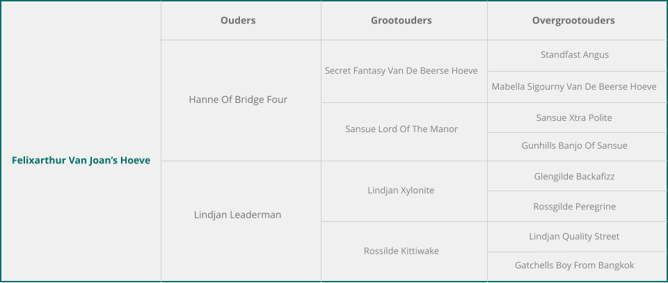 Felixarthur Van Joan’s Hoeve Ouders Grootouders Overgrootouders Hanne Of Bridge Four Lindjan Leaderman Secret Fantasy Van De Beerse Hoeve Sansue Lord Of The Manor Lindjan Xylonite Rossilde Kittiwake Standfast Angus Mabella Sigourny Van De Beerse Hoeve Sansue Xtra Polite Gunhills Banjo Of Sansue Glengilde Backafizz Rossgilde Peregrine Lindjan Quality Street Gatchells Boy From Bangkok