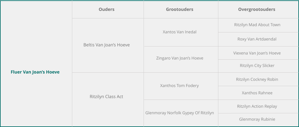 Fluer Van Joan’s Hoeve Ouders Grootouders Overgrootouders Beltis Van Joan’s Hoeve Ritzilyn Class Act Xantos Van Inedal Zingaro Van Joan’s Hoeve Xanthos Tom Fodery Glenmoray Norfolk Gypey Of Ritzilyn Ritzilyn Mad About Town Roxy Van Artdaendal Viexena Van Joan’s Hoeve Ritzilyn City Slicker Ritzilyn Cockney Robin Xanthos Rahnee Ritzilyn Action Replay Glenmoray Rubinie