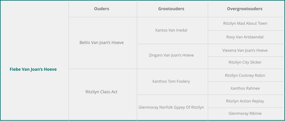 Fiebe Van Joan’s Hoeve Ouders Grootouders Overgrootouders Beltis Van Joan’s Hoeve Ritzilyn Class Act Xantos Van Inedal Zingaro Van Joan’s Hoeve Xanthos Tom Foolery Glenmoray Norfolk Gypey Of Ritzilyn Ritzilyn Mad About Town Roxy Van Artdaendal Viexena Van Joan’s Hoeve Ritzilyn City Slicker Ritzilyn Cockney Robin Xanthos Rahnee Ritzilyn Action Replay Glenmoray Ribinie