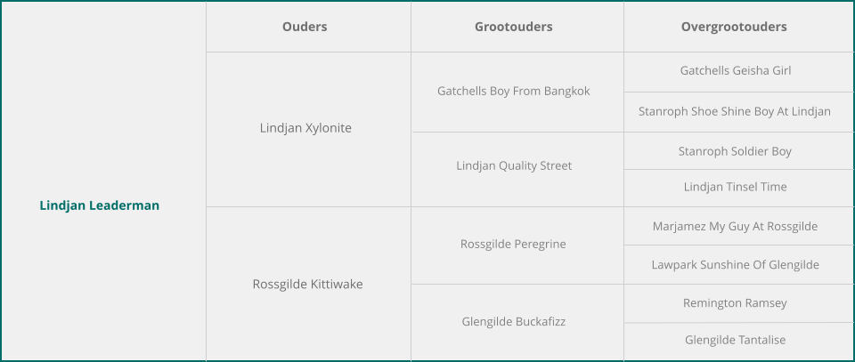 Lindjan Leaderman Ouders Grootouders Overgrootouders Lindjan Xylonite Rossgilde Kittiwake Gatchells Boy From Bangkok Lindjan Quality Street Rossgilde Peregrine Glengilde Buckafizz Gatchells Geisha Girl Stanroph Shoe Shine Boy At Lindjan Stanroph Soldier Boy Lindjan Tinsel Time Marjamez My Guy At Rossgilde Lawpark Sunshine Of Glengilde Remington Ramsey Glengilde Tantalise