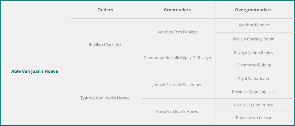 Able Van Joan’s Hoeve Ouders Grootouders Overgrootouders Ritzilyn Class Act Tyanna Van Joan’s Hoeve Xanthos Tom Foolery Glenmoray Norfolk Gypsy Of Ritzilyn Jonquil Scardale Secomber Raisa Van Joan’s Hoeve Xanthos Rahnee Ritzilyn Cockney Robin Ritzilyn Action Replay Glenmoray Rubina Styal Samarkand Dewmist Sparkling Lace Oxalis Du Bon Prince Bryanstown Caesar