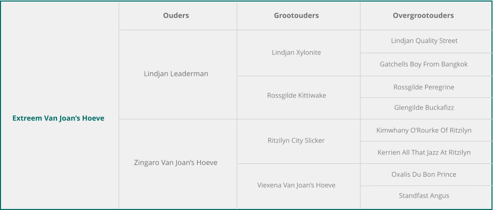Extreem Van Joan’s Hoeve Ouders Grootouders Overgrootouders Lindjan Leaderman Zingaro Van Joan’s Hoeve Lindjan Xylonite Rossgilde Kittiwake Ritzilyn City Slicker Viexena Van Joan’s Hoeve Lindjan Quality Street Gatchells Boy From Bangkok Rossgilde Peregrine Glengilde Buckafizz Kimwhany O’Rourke Of Ritzilyn Kerrien All That Jazz At Ritzilyn Oxalis Du Bon Prince Standfast Angus